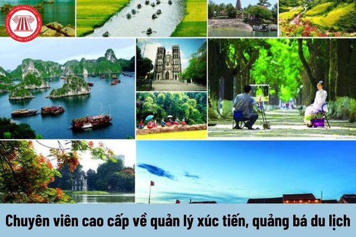 Hotspot Matrix: Giải pháp quản lý nội dung đa tài khoản, đa nền tảng tối ưu