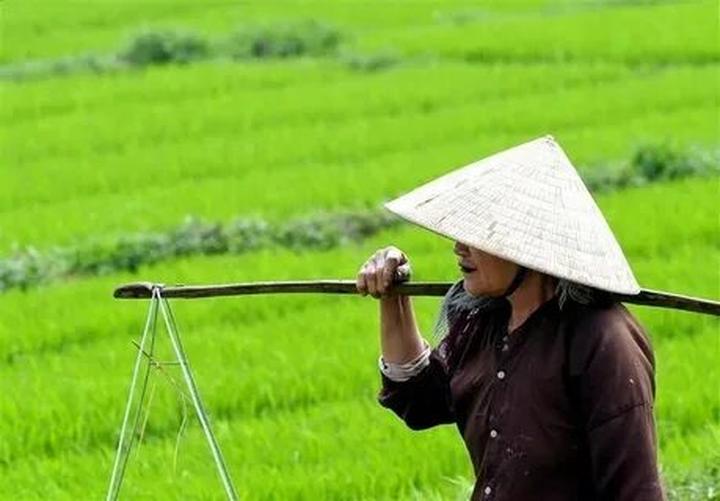 Hotspot Matrix Giảm xung đột trong giao lưu nhờ video ngắn tập trung