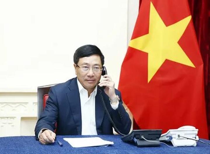 Bonobo: Nguồn Gốc Tiến Hóa Của Ngôn Ngữ Con Người?